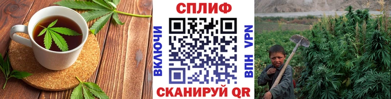 Canna-Cookies марихуана  МЕГА ссылки  Новое Девяткино 
