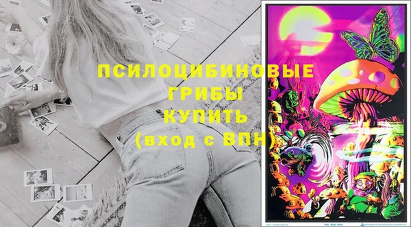 амф Богданович