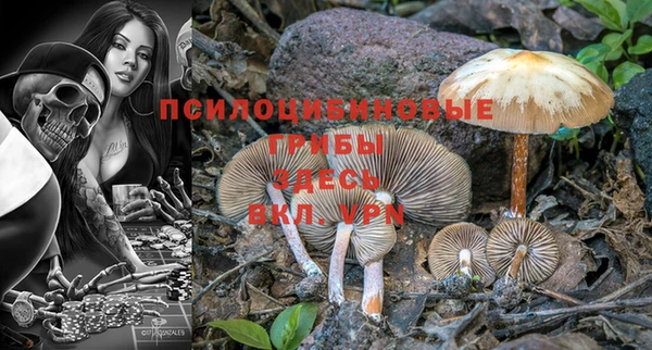 амф Богданович
