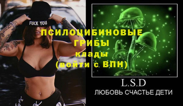 ГАЛЛЮЦИНОГЕННЫЕ ГРИБЫ Богородск