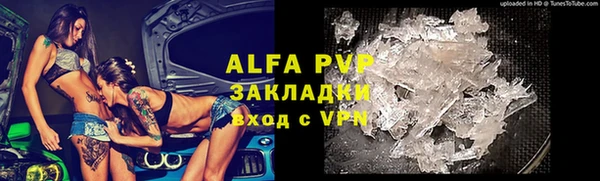 амф Богданович